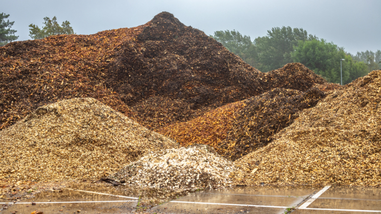 Overvloed aan hout voor Stadswerk072: “Meldingen liefst via website”