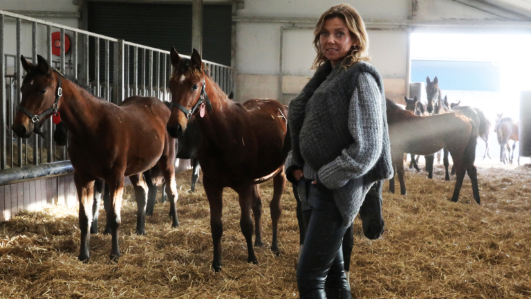 In de thrillers van Vera Stupenea moet alles kloppen: “Er zijn niet veel boeken over de paardenwereld”