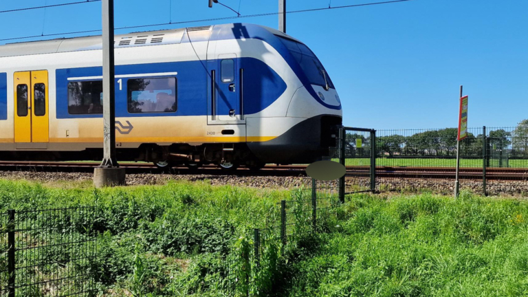 Hond aangereden door trein in Heiloo