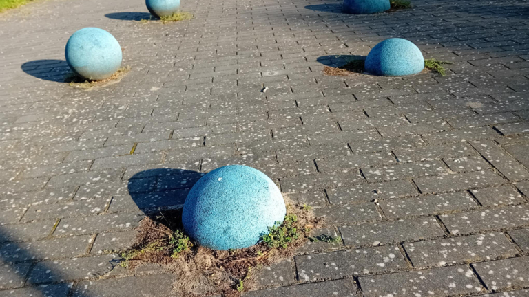 Een eigen plekje op de wereld: ‘Wereldse Bollen’ onthuld in Overdie 🗓