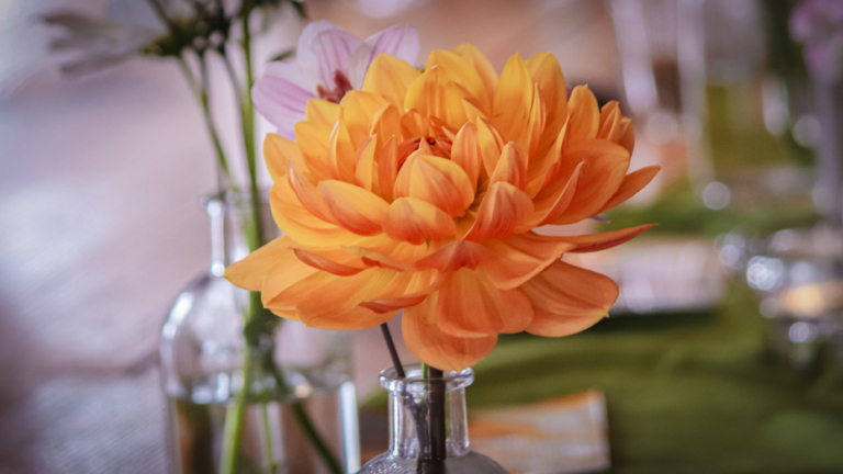 Toch echte bloemen in ziekenhuiskiosk: “Intensiteit van de reacties niet verwacht”