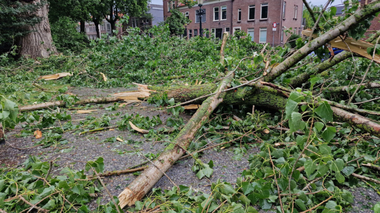 Zomerstorm Poly kost Alkmaar meer dan 1 miljoen euro