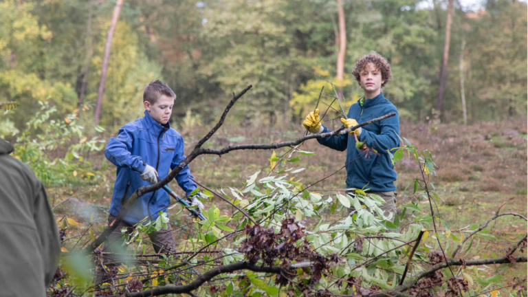 Natuurwerkdag in de Schoorlse Duinen om de heide open te houden 🗓