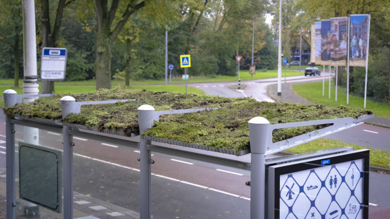 Gegarandeerd meeuwvrij: nieuwe Alkmaarse bushokjes oase voor insecten