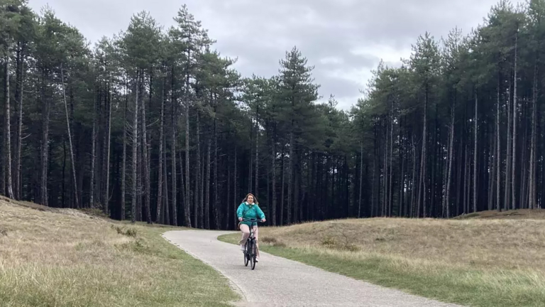 Omstreden kap begint bijna: zaag in duizenden Bergense bomen