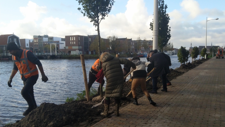 “Het is een sierpeer”: vijftien bomen geplant voor Boomfeestdag, duizenden moeten volgen