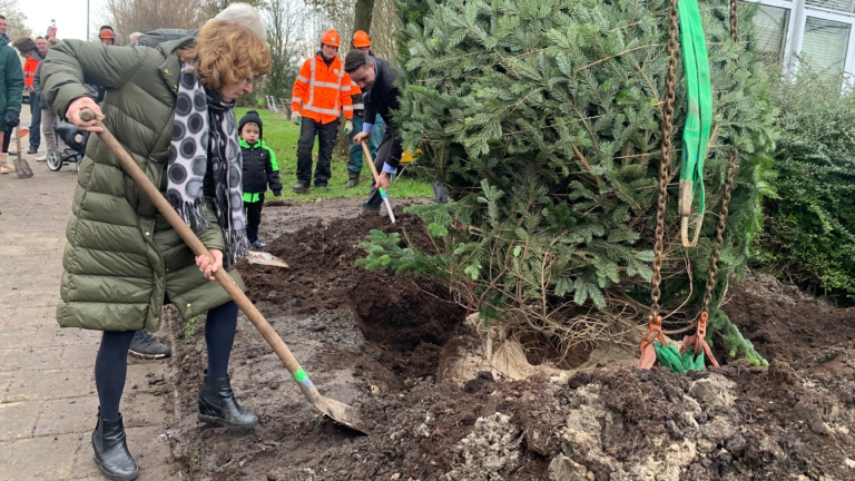 Markenbinnen enthousiast over permanente kerstboom: ‘Groter dan ik dacht’