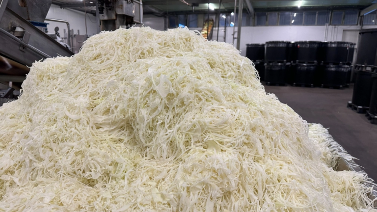 Kolencampagne klaar en nu aan het werk: “Nog maanden fermenteren”