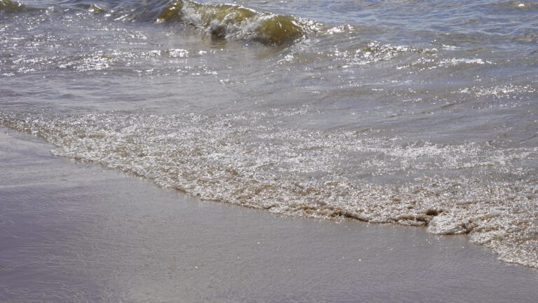 PFAS ook aangetoond in Egmond aan Zee: “Elke extra blootstelling is onwenselijk”