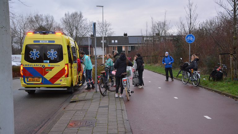 Fietsster valt vervelend op fietspad langs Laan van Troyes