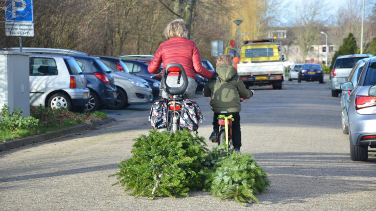 Einde nadert voor kerstboom, gemeenten zorgen voor soepele inzameling