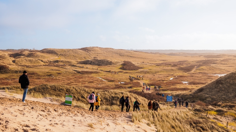 Op eigen tempo door zonovergoten duinen heen: 19e Wandel Marathon goed bezocht