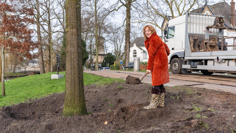 Herstel van stormschade op Bolwerk voltooid met plant van 18 meter hoge eik