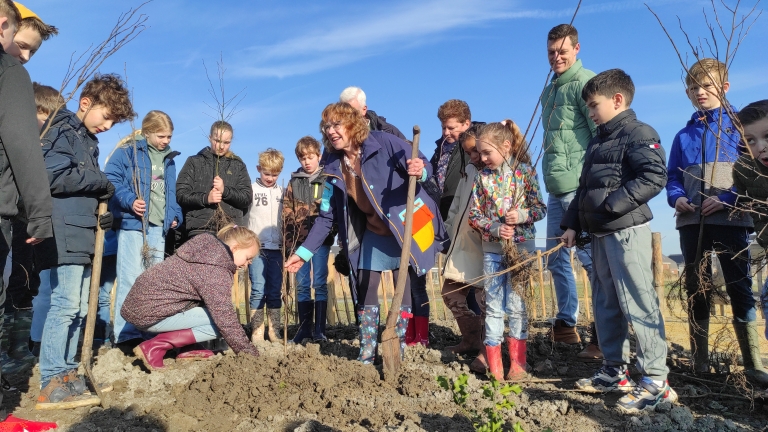 Alkmaars vierde Tiny Forest staat in Vroonermeer-Noord: “Ik ben heel blij dat we dit doen”