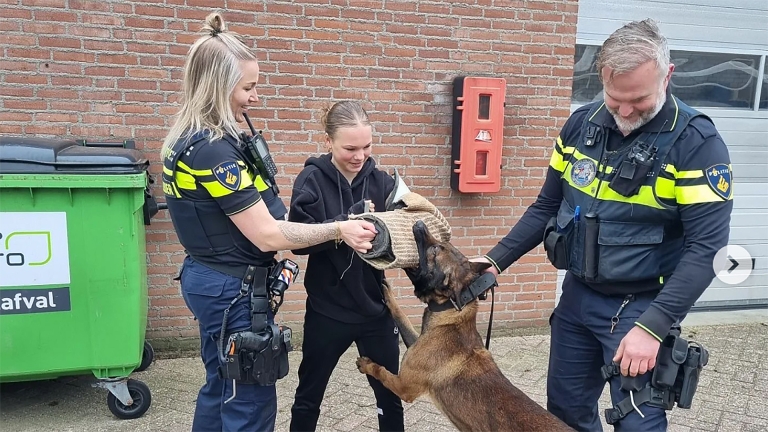 Arresteren en gebeten worden door politiehond: vmbo-leerlingen snuffelen aan politiewerk