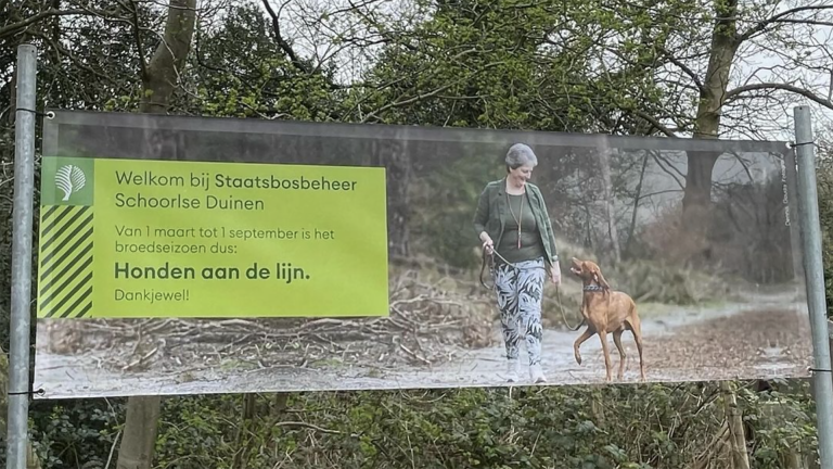 Vluchten voor boswachter levert drie boetes op in plaats van één