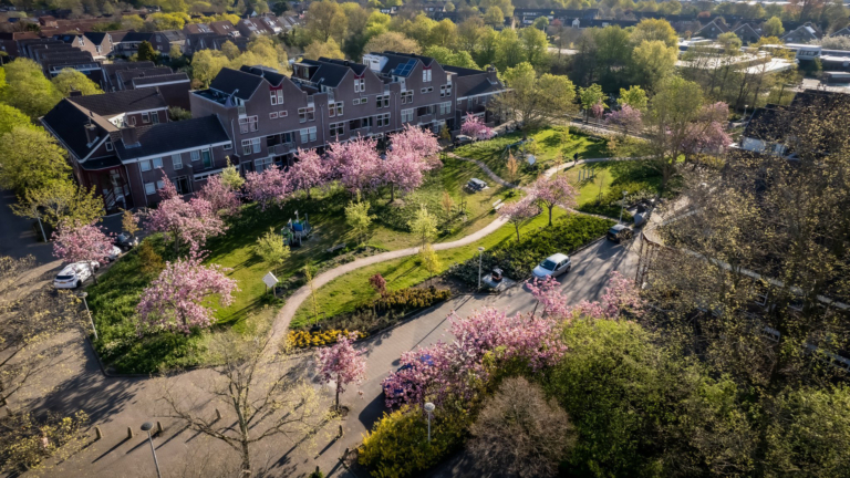 Alkmaar in Top 10 van meest vergroende steden in Nederland
