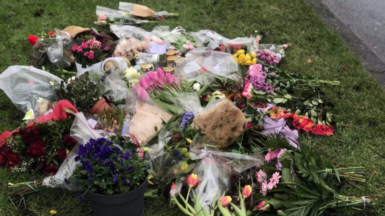 Nabestaanden berusten in vonnis voor doodrijden ‘oma Lies’ op Vondelstraat: “Hoogst haalbare”