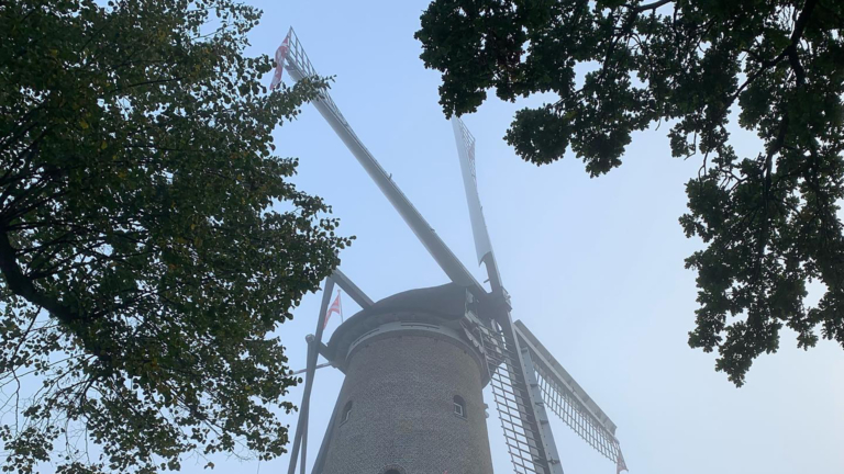 Vijftien bomen wijken om Molen van Piet te redden: “Wat er voor terugkomt wordt denk ik veel mooier”