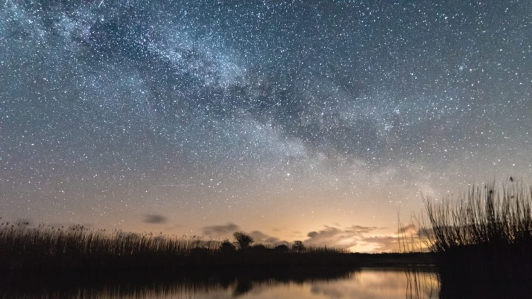 Sterretjes zien in de Schoorlse Duinen 🗓
