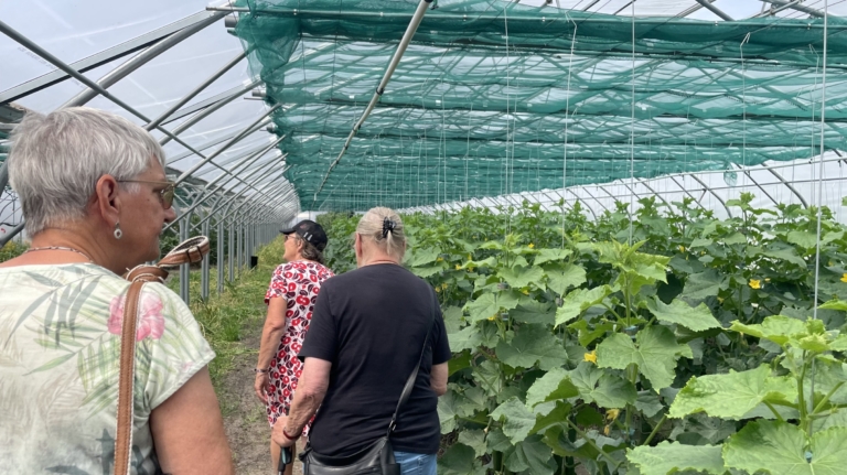 Mensen lopen door een kas vol met groene planten, met een groen net gespannen over de bovenkant om schaduw te bieden.