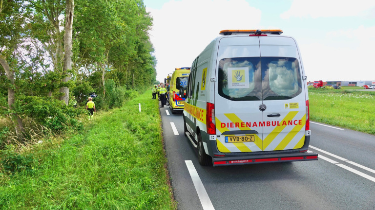 Dronken bestuurder botst op bomen in Oudkarspel: brandweer bevrijdt man en hond