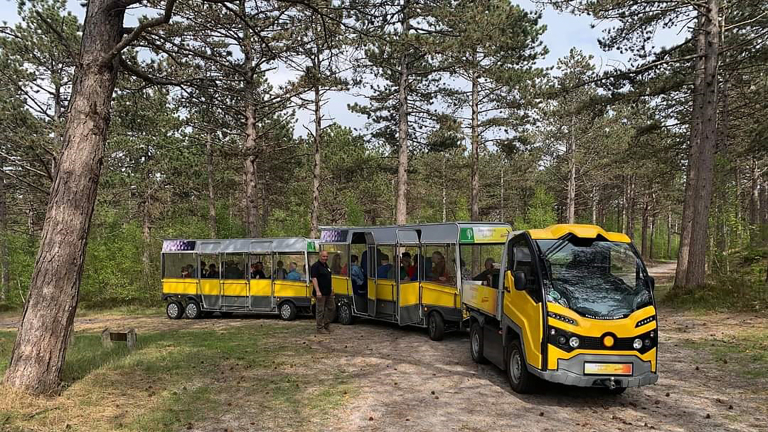 Een gele toeristentrein met open wagons en passagiers rijdt door een bos met hoge bomen.