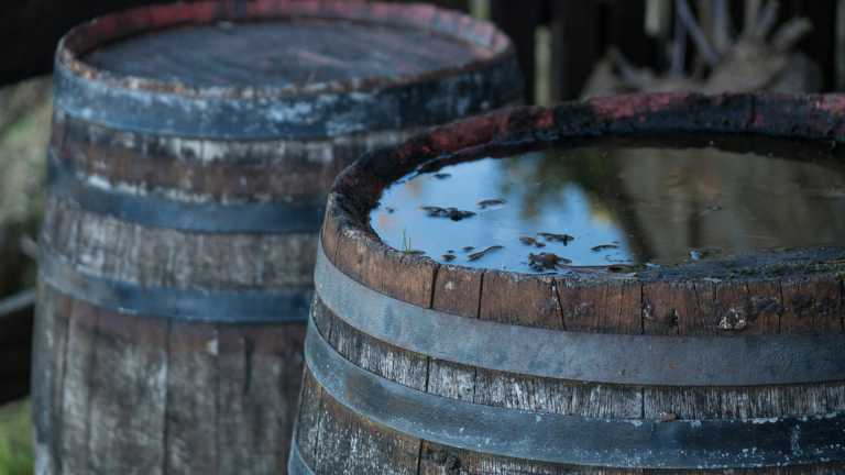 Regenwater opvangen: om deze redenen moet je dat echt doen [Advertorial]