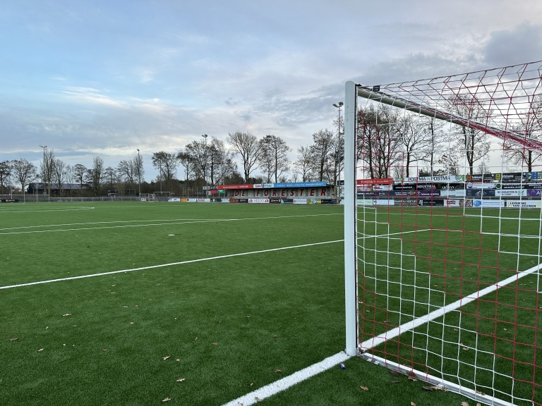 Voetbalveld met een dicht doel op de voorgrond, omgeven door een omheining met reclameborden, en kale bomen op de achtergrond onder een bewolkte lucht.