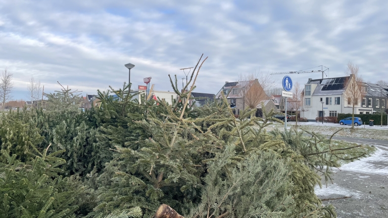 Kerstbomen stapelen zich op in Heerhugowaard: “Kijk daar komt weer een lading aan!”
