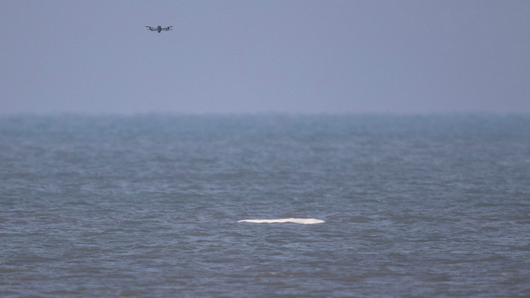 Drone boven een uitgestrekt zee-oppervlak met een wit object in het water.