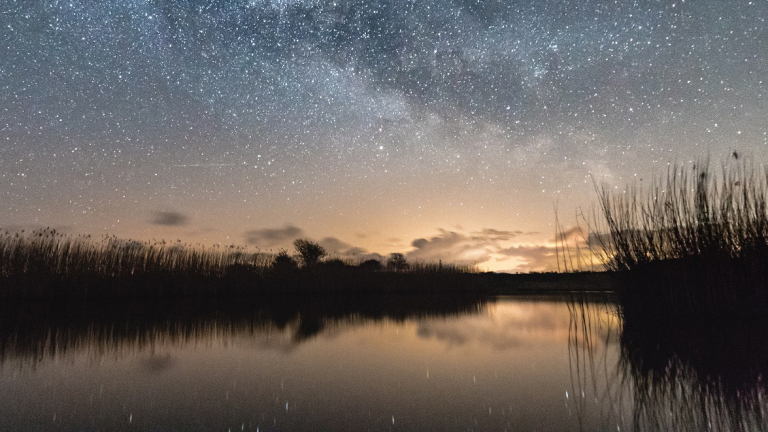 Sterrenhemel boven een stille vijver, met reflecties van sterren en riet op het water, in een nachtelijke scene.