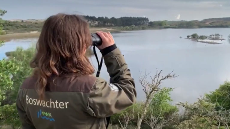 Begin van broedseizoen legt beperkingen op aan wandelaars