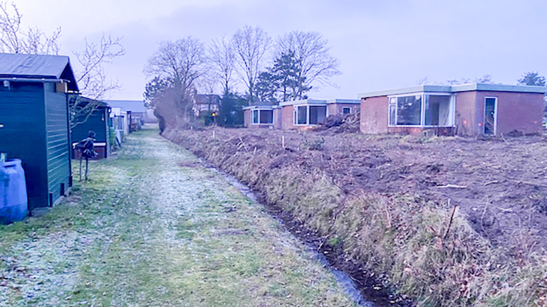 Termijn verstrijkt zonder antwoorden: mocht historische houtwal gekapt worden?