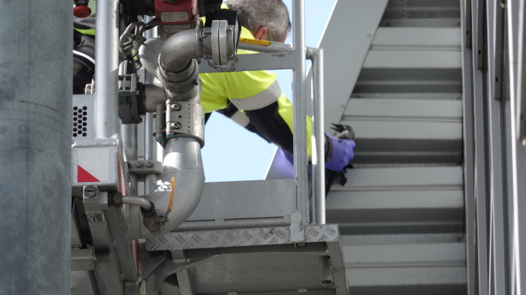 Redding op hoogte: kauw bevrijd van dak in Broek op Langedijk