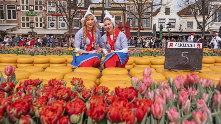Alkmaar maakt zich op voor Tulpenkaasmarkt: “Lokale trots”
