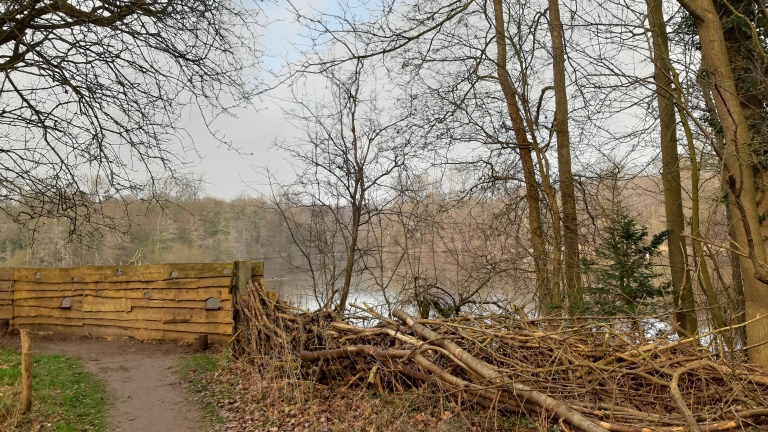 Boslandschap in de winter met kale bomen en een houten hek naast een pad, met op de achtergrond een meer.