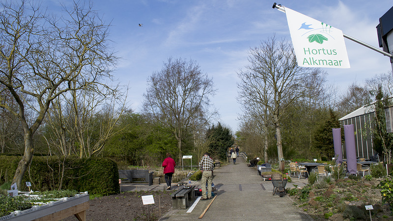 Workshops over bijen en wildplukken bij Hortus Alkmaar