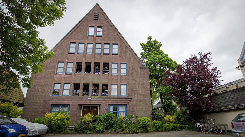 Bewoners woonhof Annie van Roeden tegen kap boom: BAS schiet te hulp