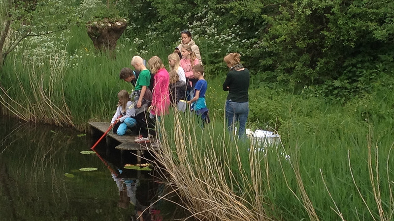 Natuur Gids Alkmaar: leuke ideeën voor een dagje uit tijdens de zomervakantie