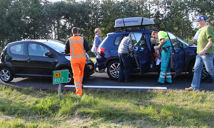 Jonge bruinvis aangespoeld op strand Castricum aan Zee (FOTO)