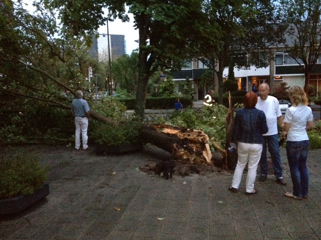 20120815 terborchlaan