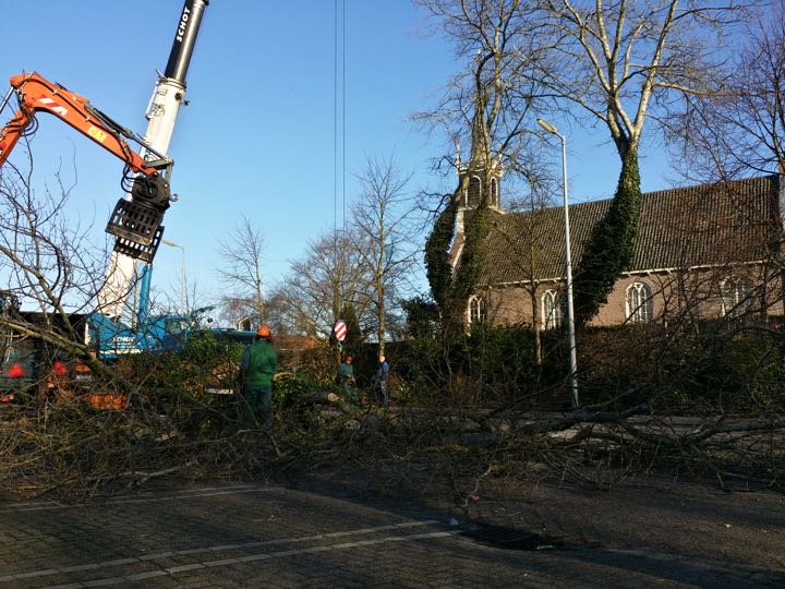 20150313 bomenkap alkmaar3
