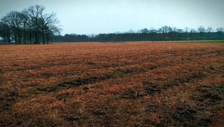Castricum klimt in de pen in strijd tegen landbouwgif: “Binnen gemeente onwenselijk”