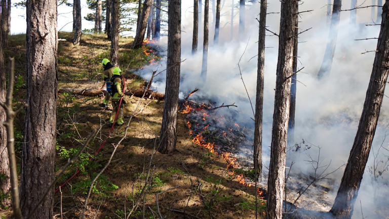 Brandweerman blust een bosbrand, omringd door rook en bomen, met een waterstraal in de hand.