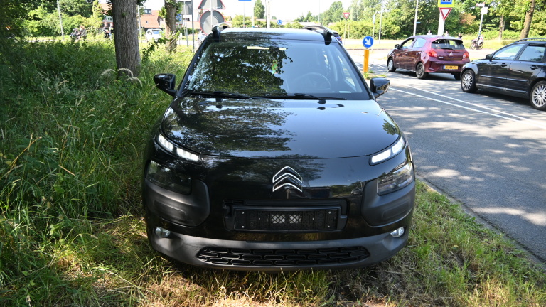 Een Nederlandse politieauto geparkeerd langs een weg met bomen en verkeersborden in de achtergrond.