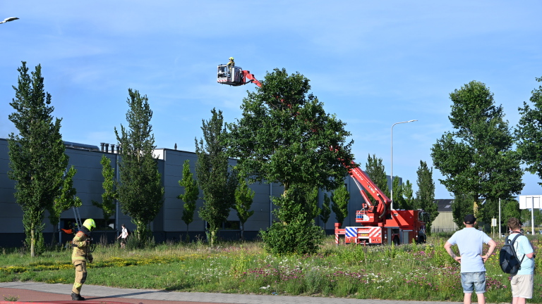 Brandweerlieden in gele helmen en uitrusting staan op een kruispunt, klaar voor actie met brandblussers.