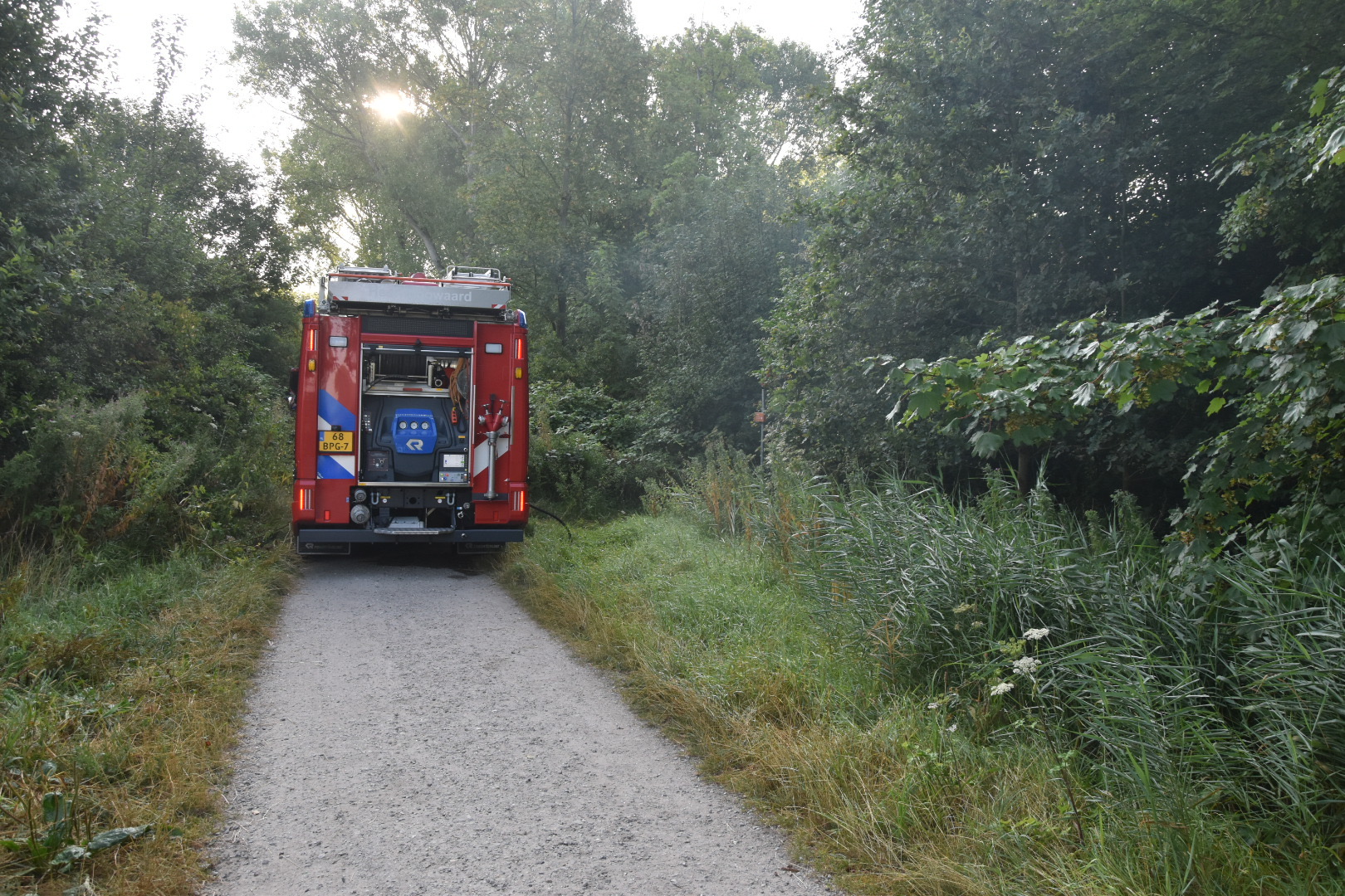 Brandweerlieden blussen een smeulende picknicktafel in het bos terwijl rook tussen de bomen hangt