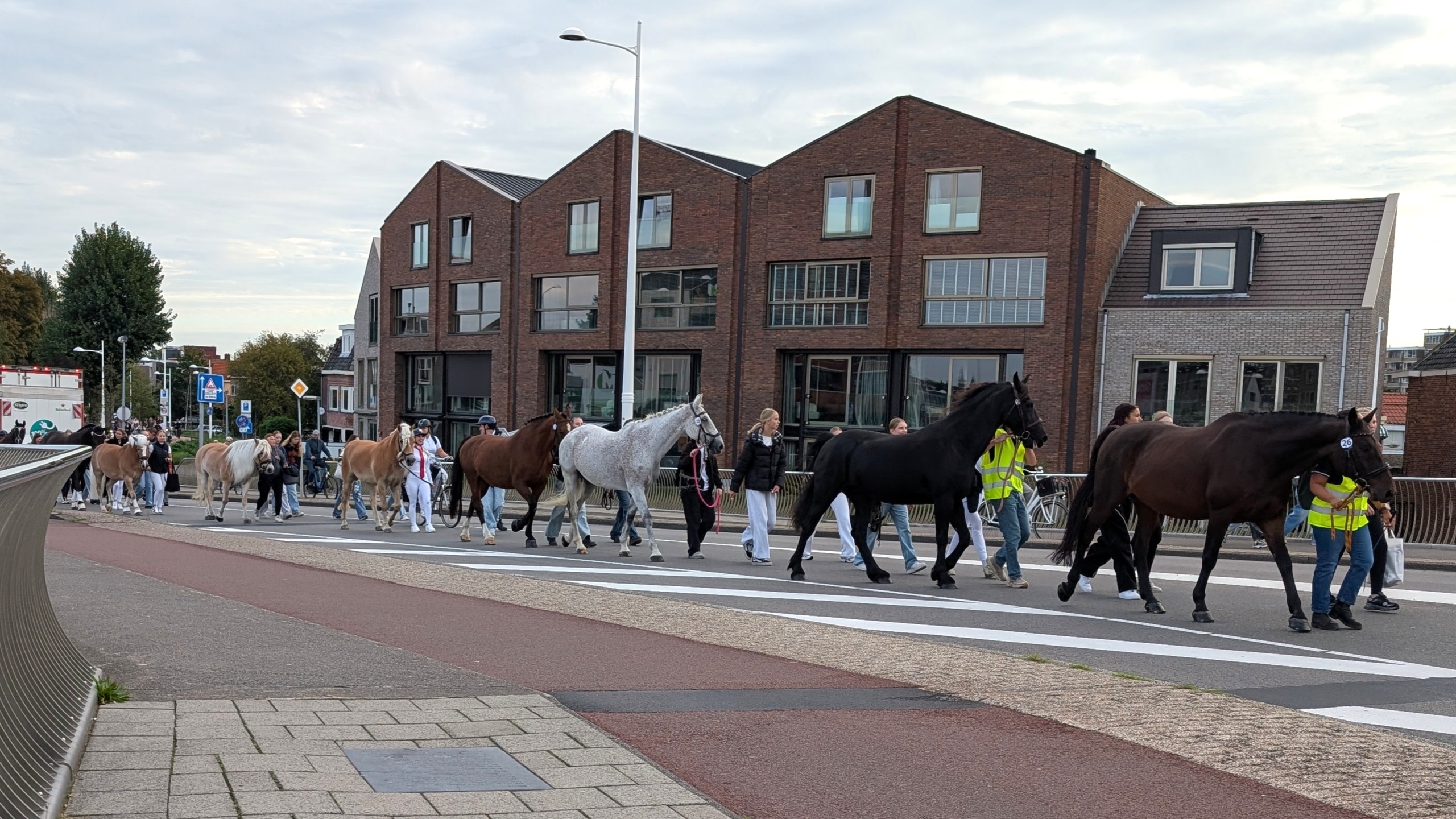 Fietsers op een tandem passeren een groep wandelaars die paarden over een kruispunt leidt, met huizen op de achtergrond