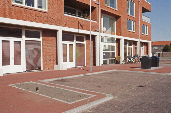 boom weg_001